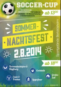 Sommernachtsfest 2014